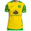 Maillot de Supporter Norwich City Domicile 2021-22 Pour Homme